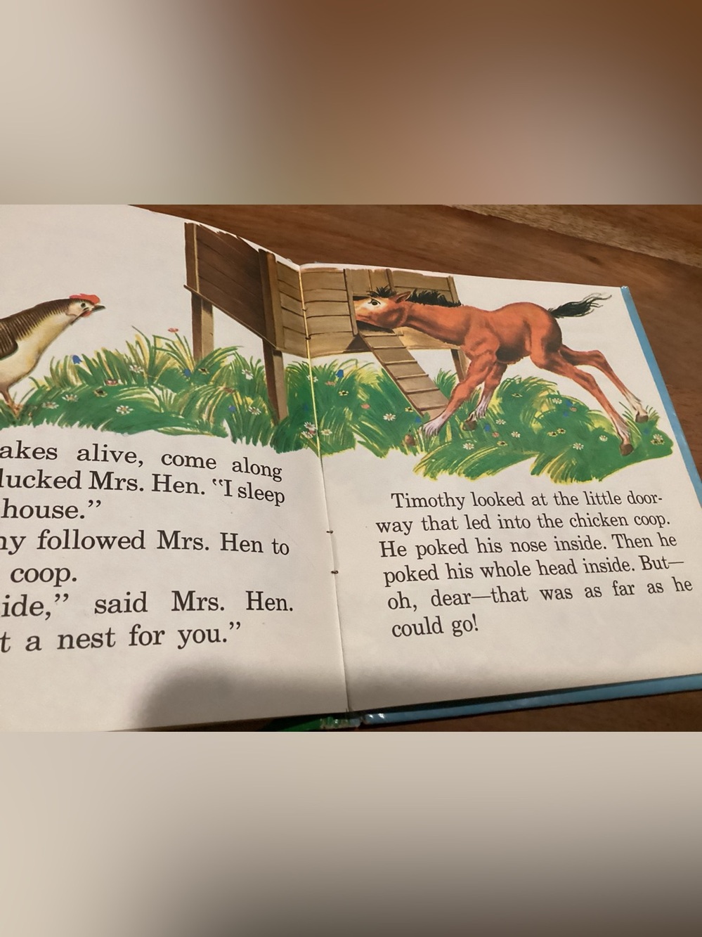 Vtg. 1958 Children’s book titled Where Timothy Lives written by Betty Ren Wright - Picture 4 of 5